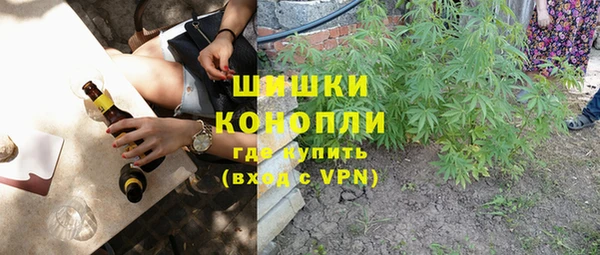 крисы Медногорск