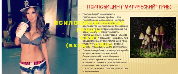 трава Магадан