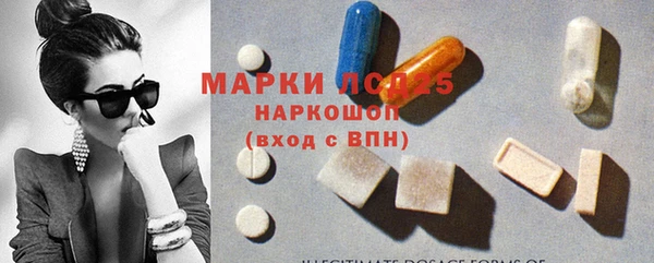 стафф Заполярный